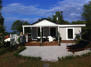 gravsvinsträtet